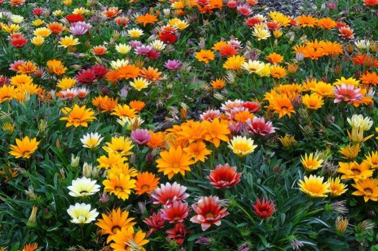 Гацания – фото