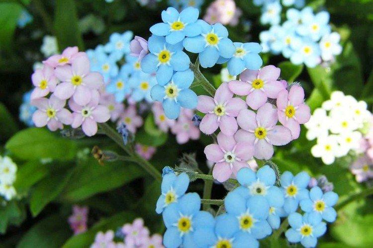 Общая информация