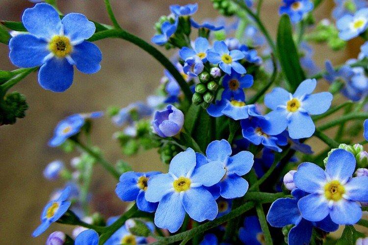 Прореживание