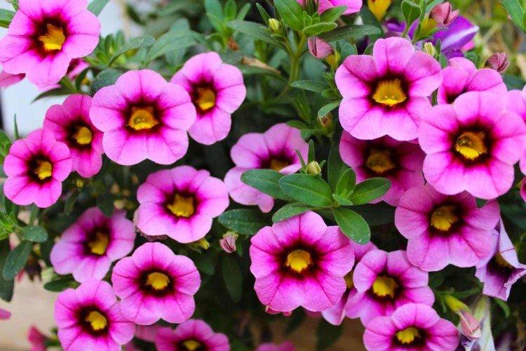 Температура