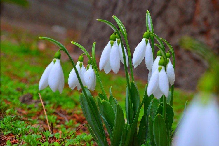 Температура