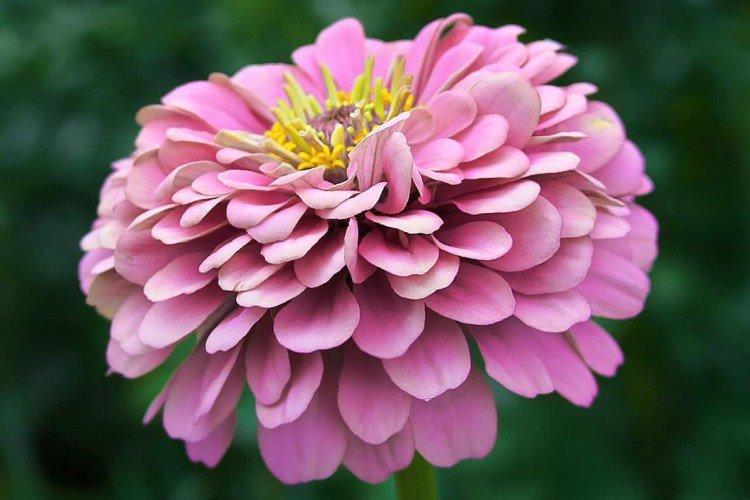 Общая информация