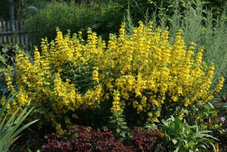 Температура