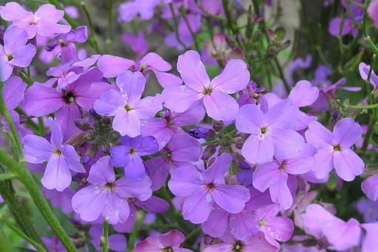 Температура