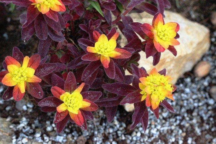 Температура и освещение