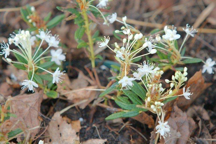 Температура и освещение