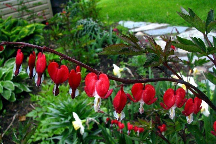 Температура и освещение