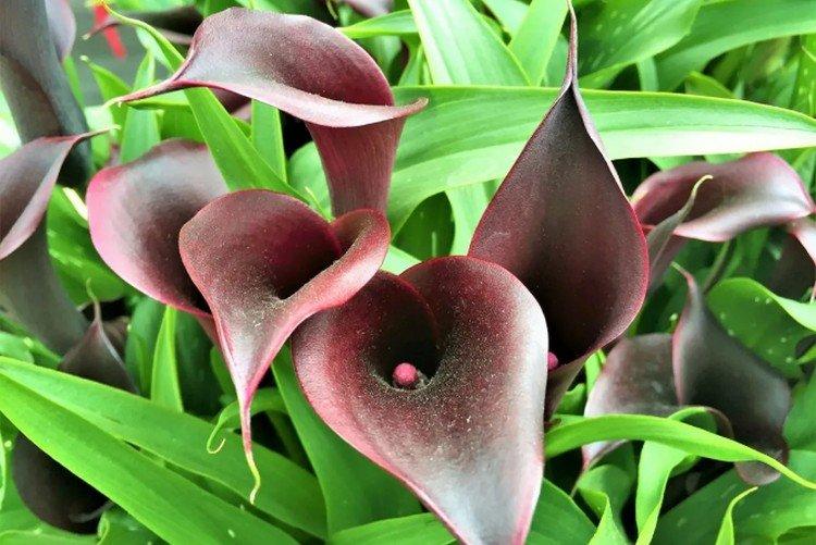 Безопасность