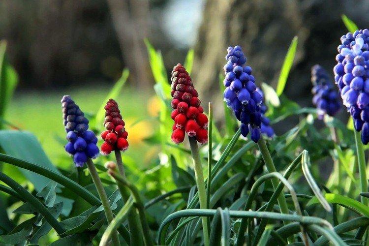 Удобрения и подкормка