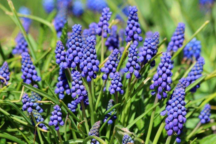 Температура и освещение