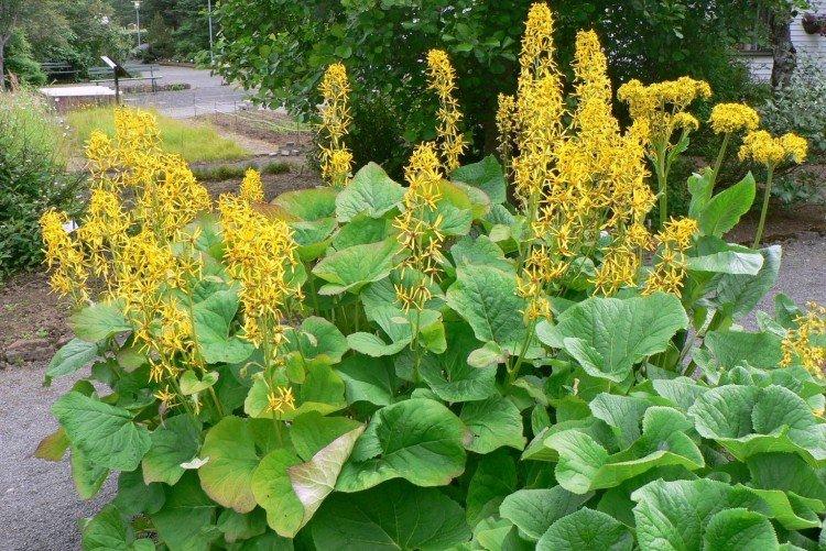 Температура