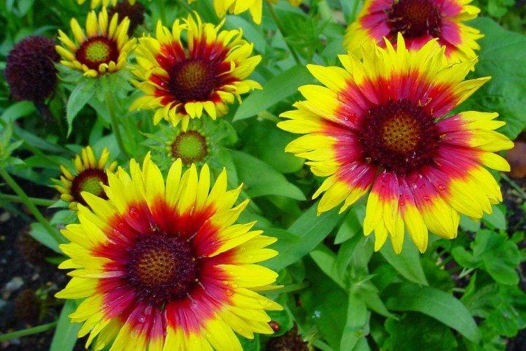 Что еще нужно знать?