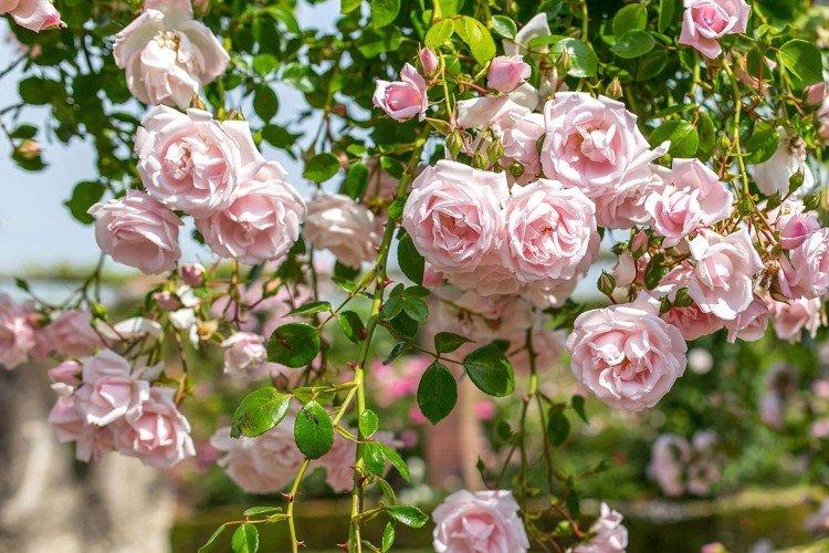 Температура и освещение