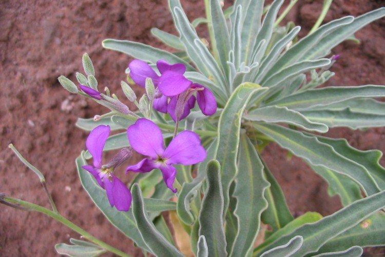 Температура и освещение