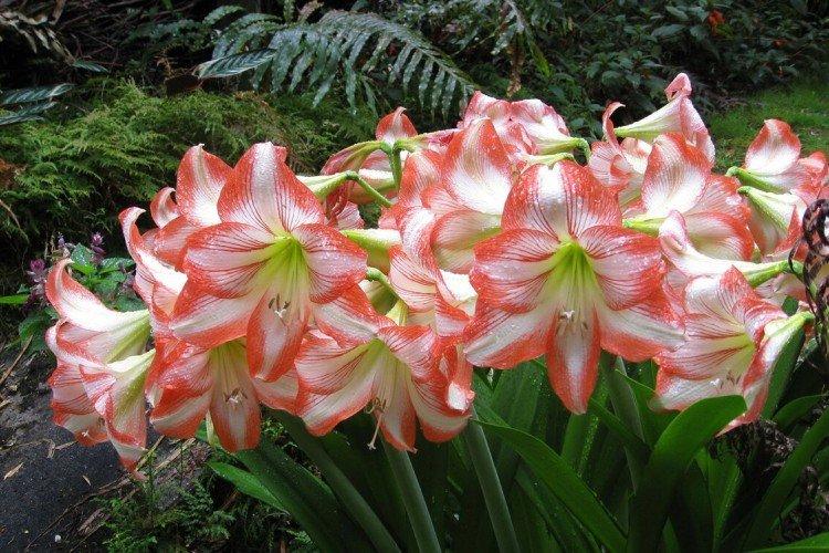 Общая информация