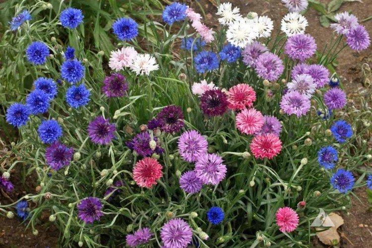 Температура и освещение