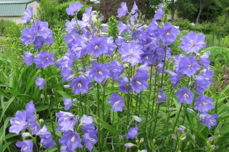 Температура и освещение