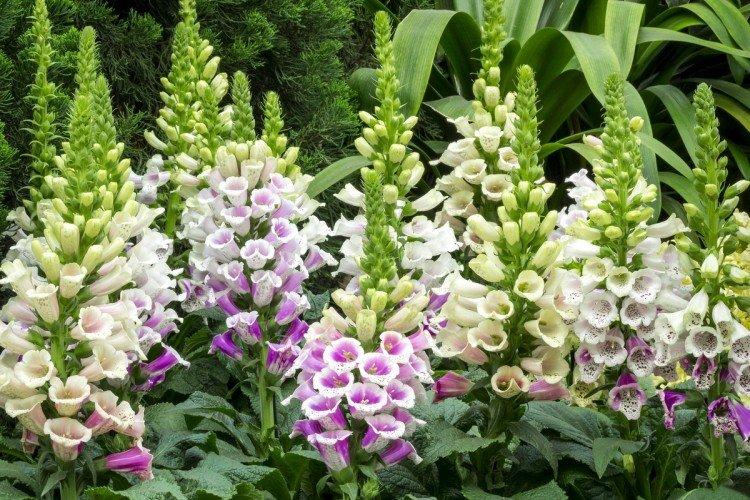 Общая информация