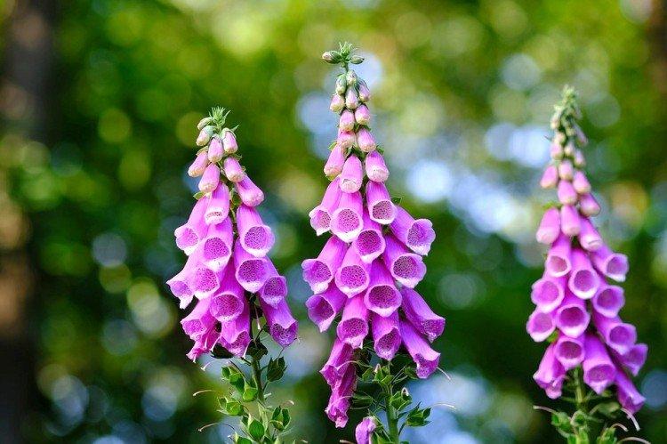 Температура и освещение