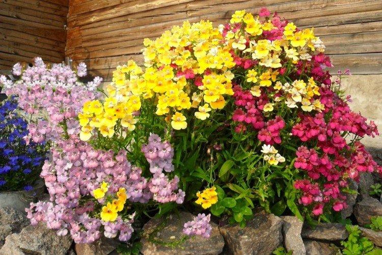 Температура