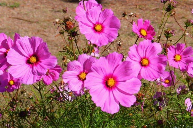 Температура и освещение