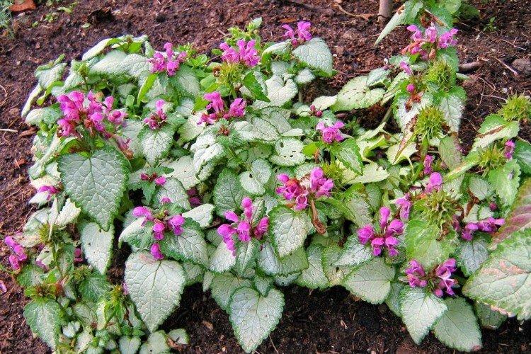 Температура и освещение