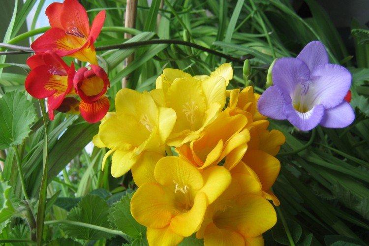 Температура