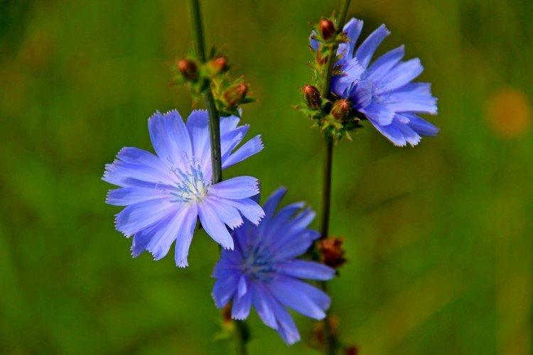 Температура и освещение