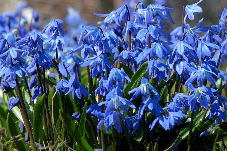 Общая информация