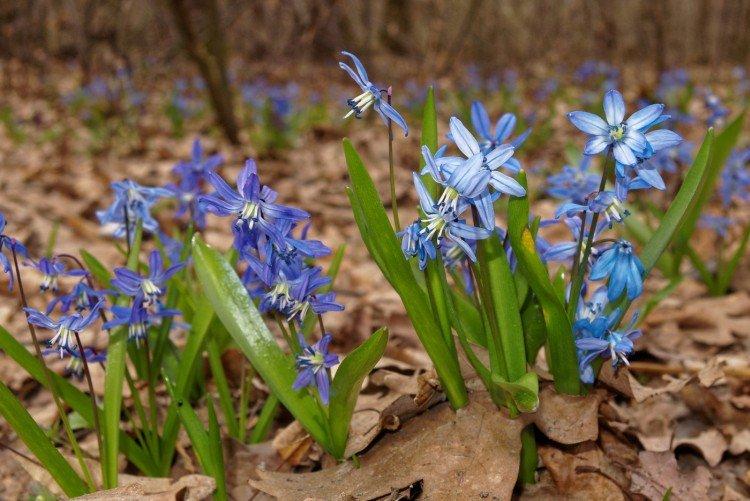 Температура и освещение