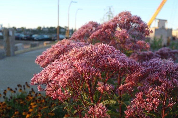 Общая информация