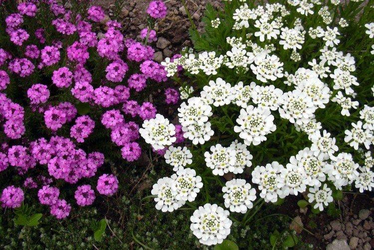 Общая информация