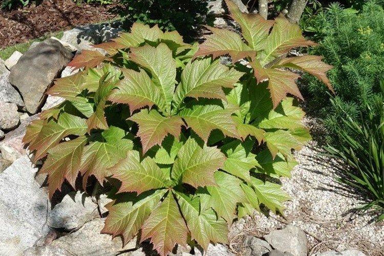 Температура и освещение