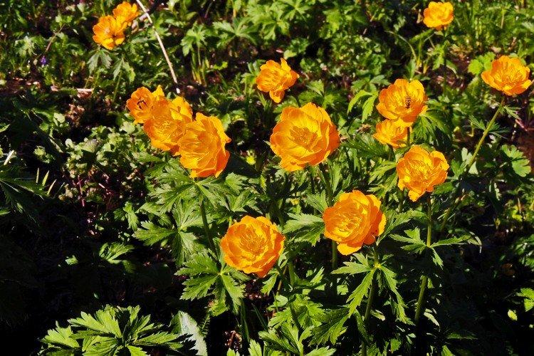 Температура и освещение