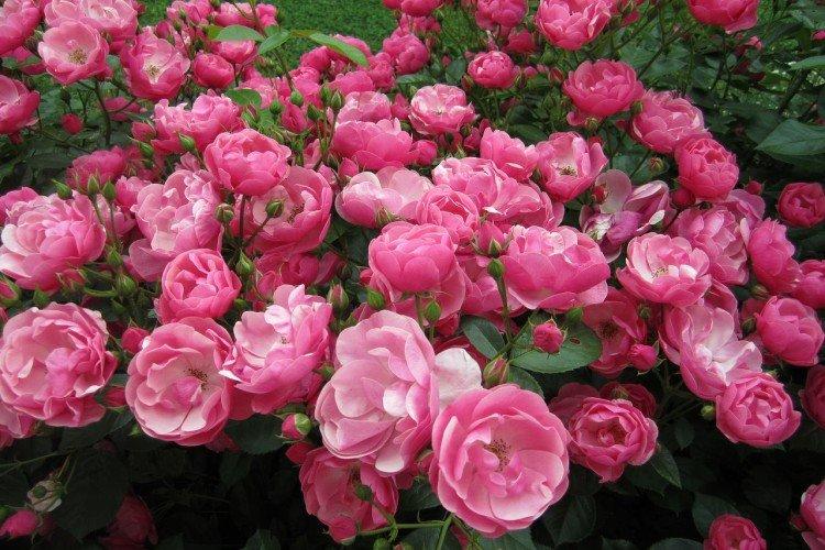 Температура и освещение