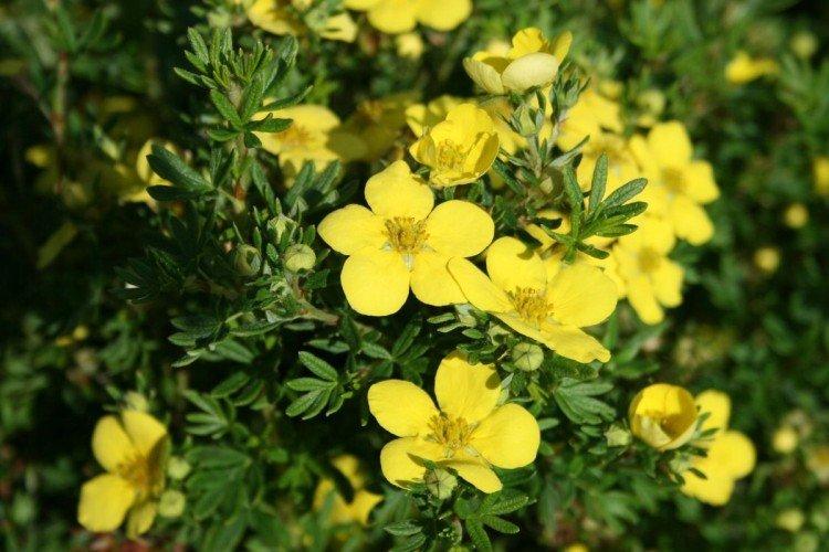 Общая информация