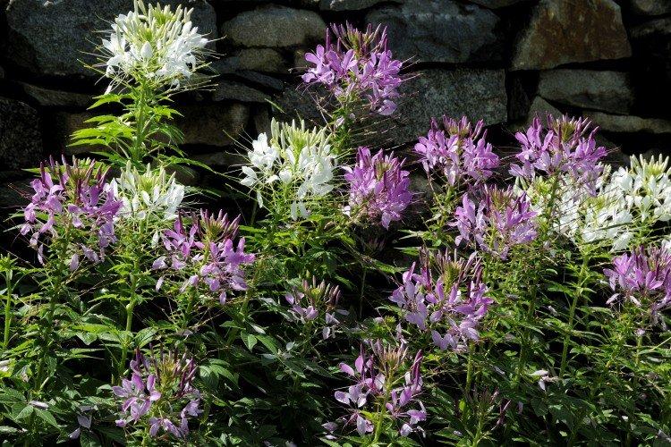 Температура и освещение