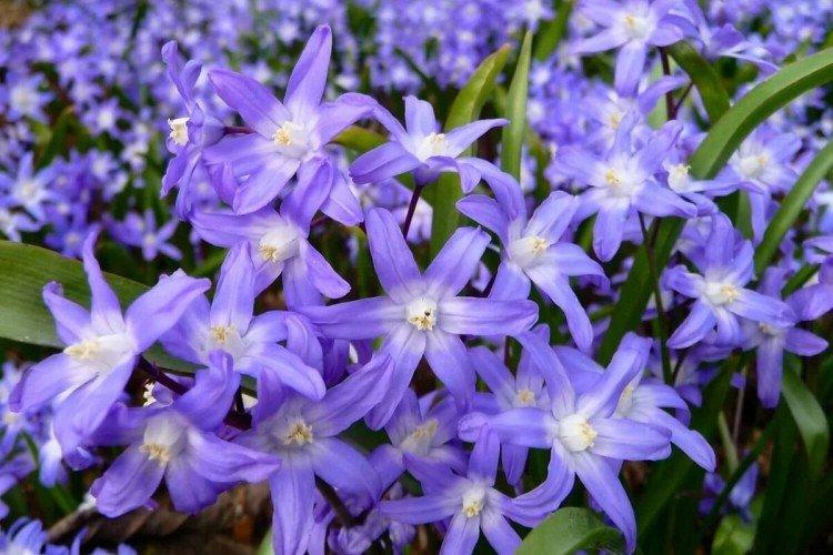 Общая информация