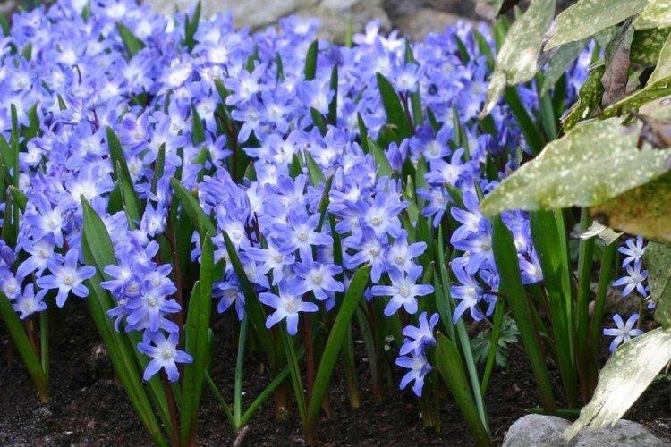 Температура