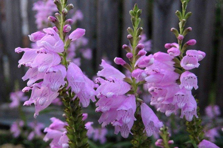 Температура и освещение