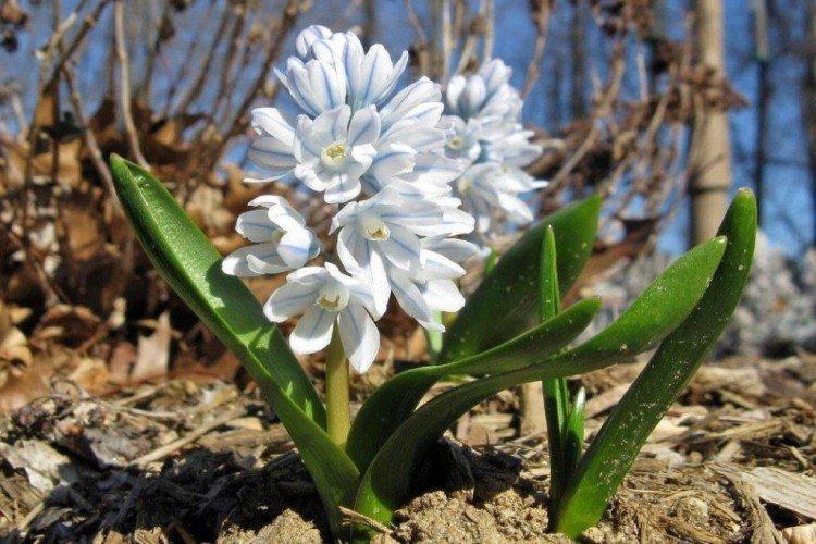 Общая информация