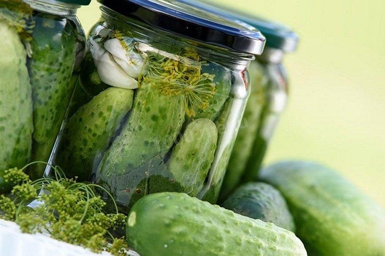 Малосольные огурцы без уксуса