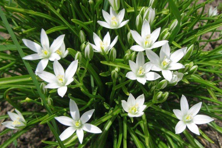 Температура и освещение