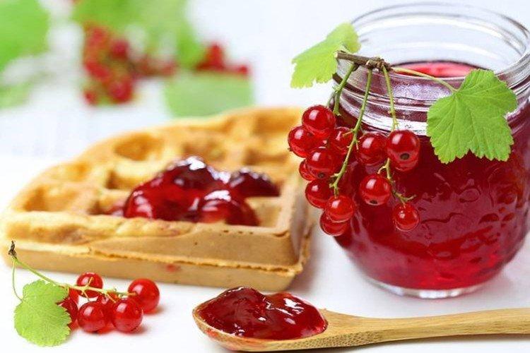 Варенье-желе из красной смородины