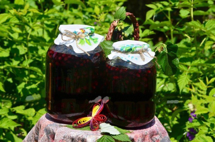 Компот из жимолости с лимоном на зиму