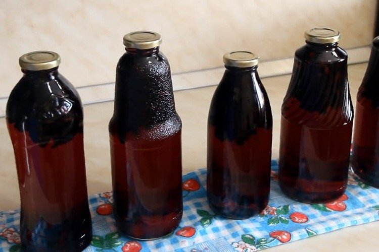 Компот из жимолости на зиму