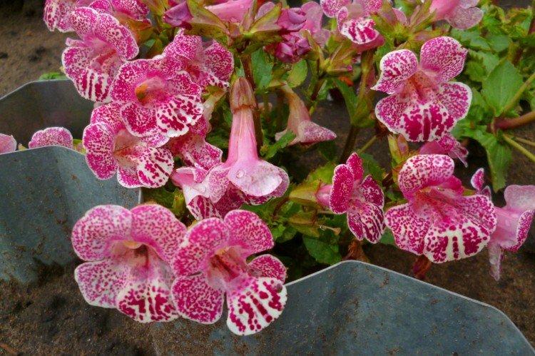 Температура и освещение