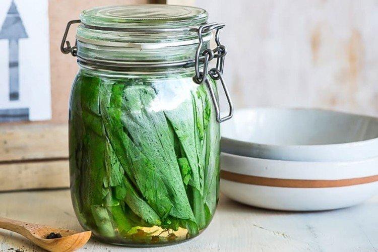 Заготовка из черемши на зиму