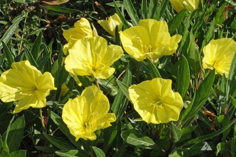 Температура и освещение