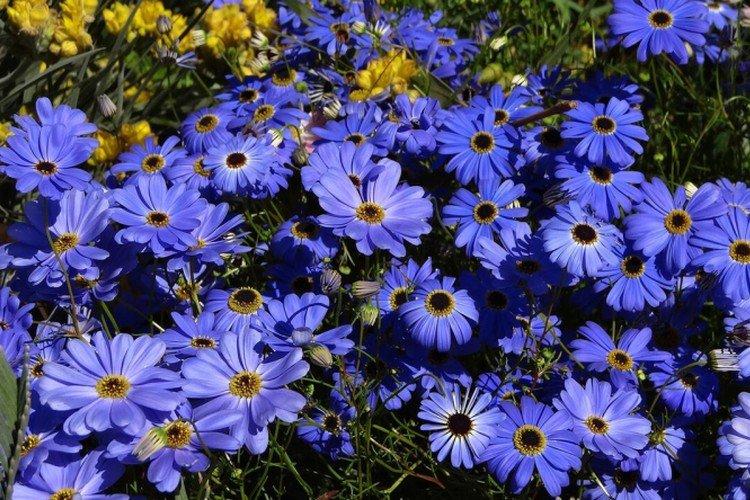 Температура и освещение